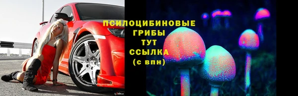 apvp Баксан