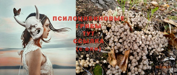 МДПВ Балахна