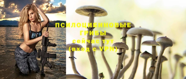 apvp Баксан